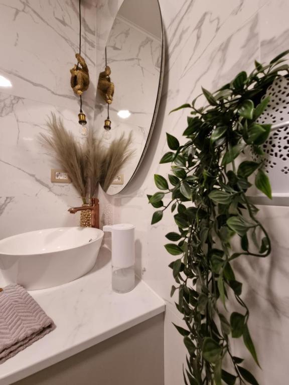 Apartment Amour Luxe Split Exterior foto